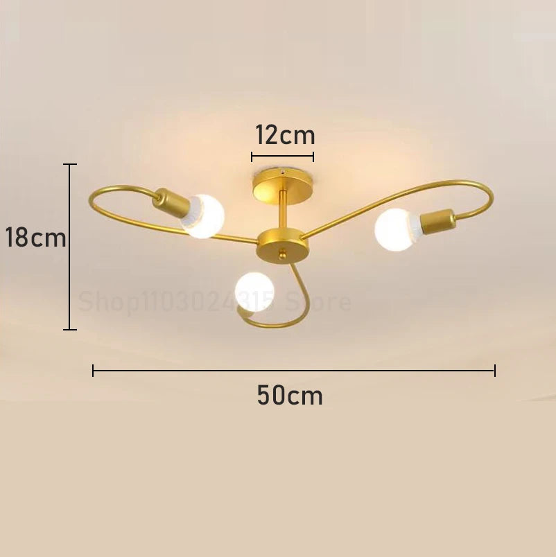 Ceiling Lamp Modern Decor Home Lighting