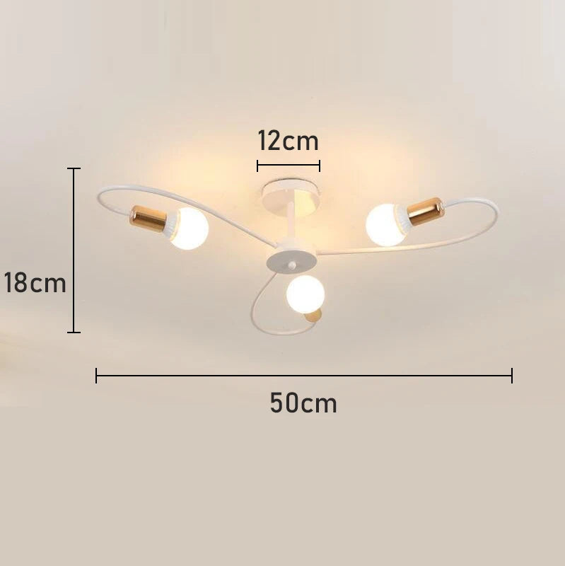 Ceiling Lamp Modern Decor Home Lighting